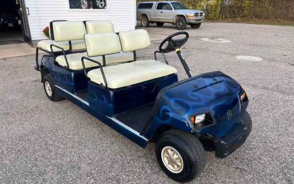 2006 Yamaha G22 Gas Golf Cart