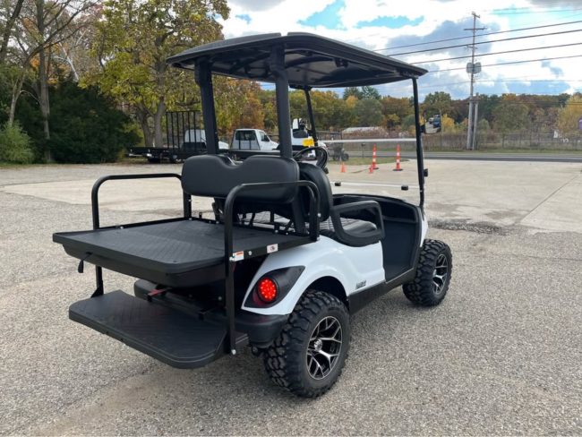 2015 Yamaha Drive EFI Gas Golf Cart